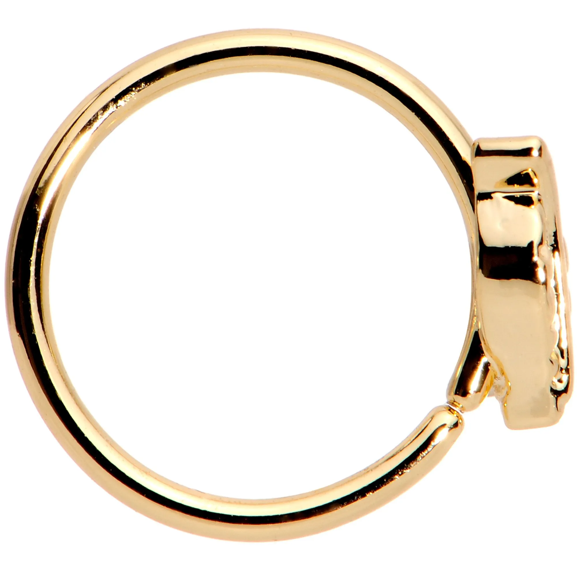 20 Gauge 5/16 Gold PVD Little Leaf Seamless Circular Ring