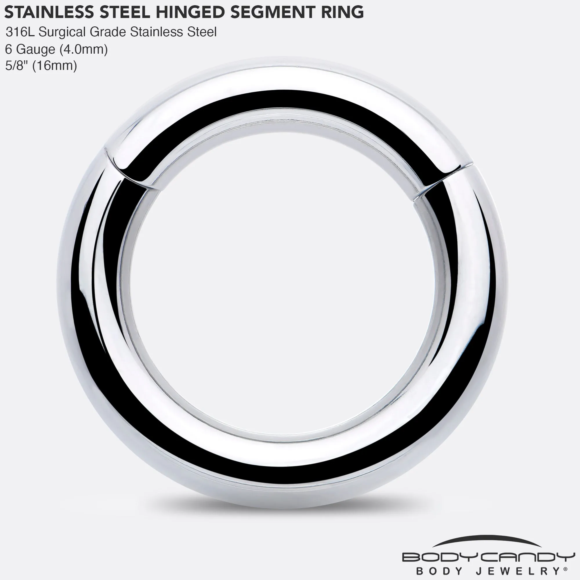 6 Gauge 5/8 316L Surgical Steel Precision Hinged Segment Hoop