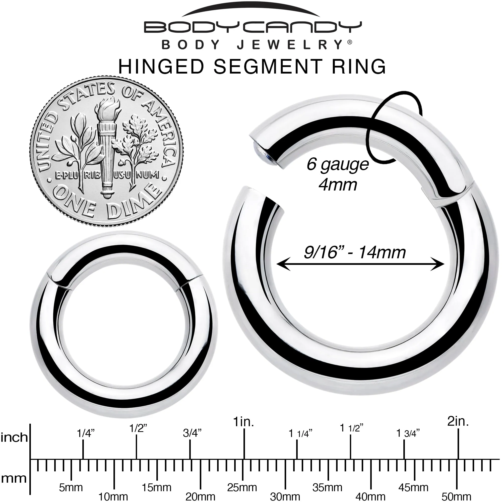 6 Gauge 9/16 316L Surgical Steel Precision Hinged Segment Hoop