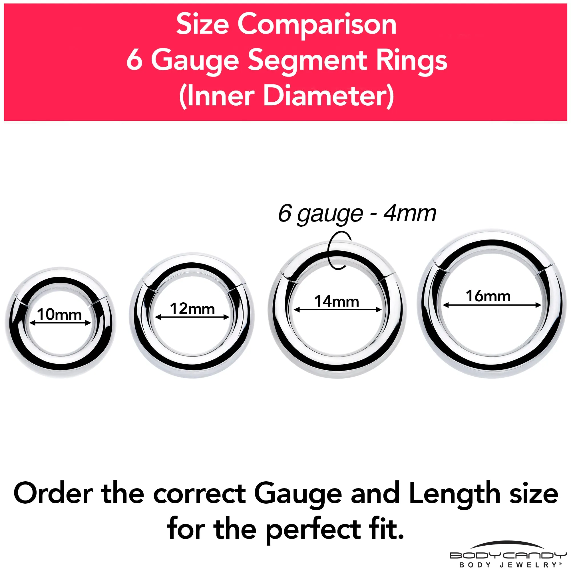 6 Gauge 9/16 316L Surgical Steel Precision Hinged Segment Hoop
