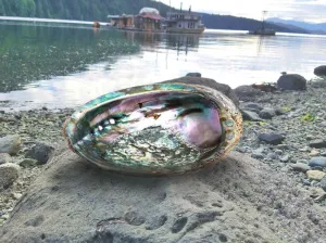 Abalone Shell Smudging Bowl