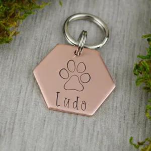 Big Paw Pet ID Tag