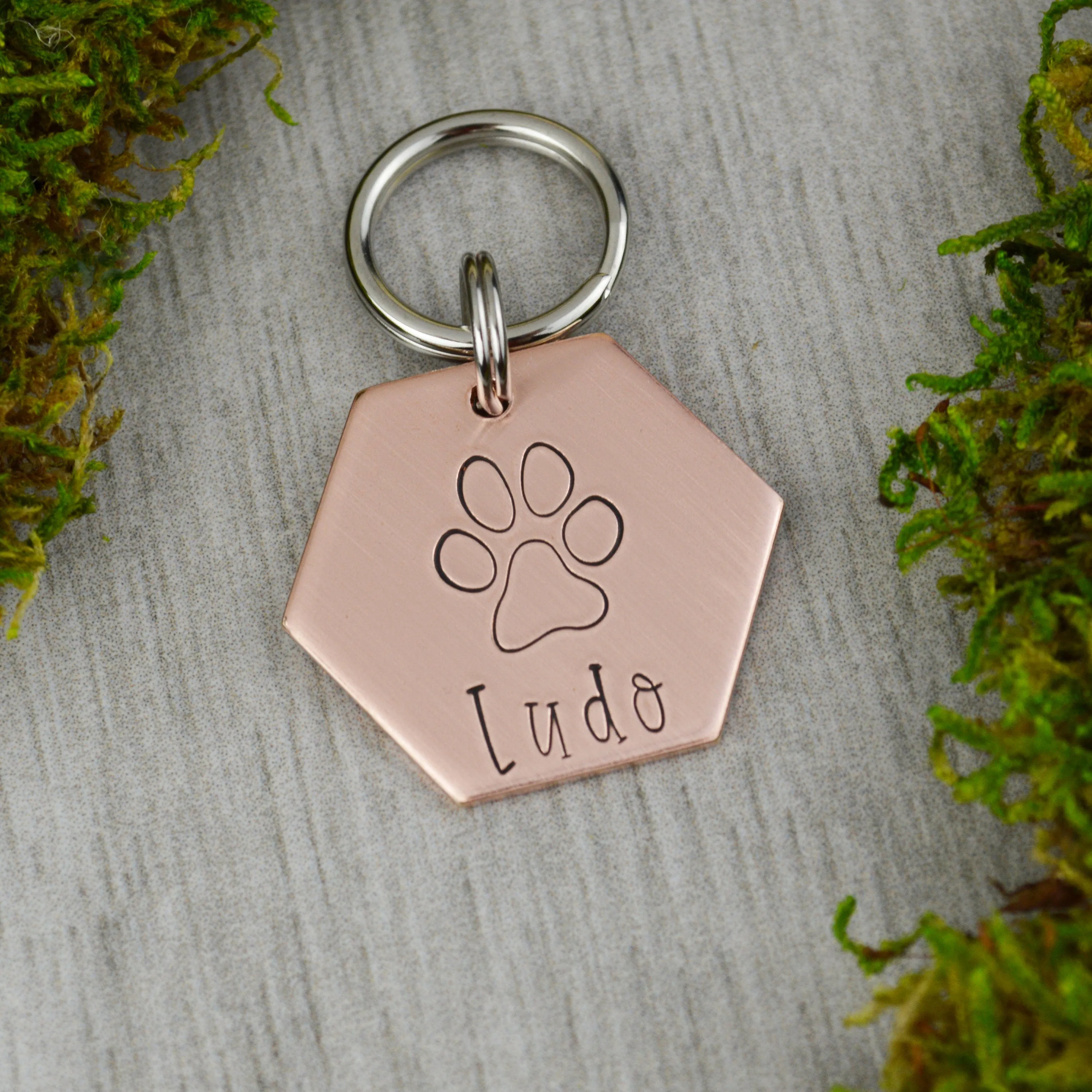 Big Paw Pet ID Tag