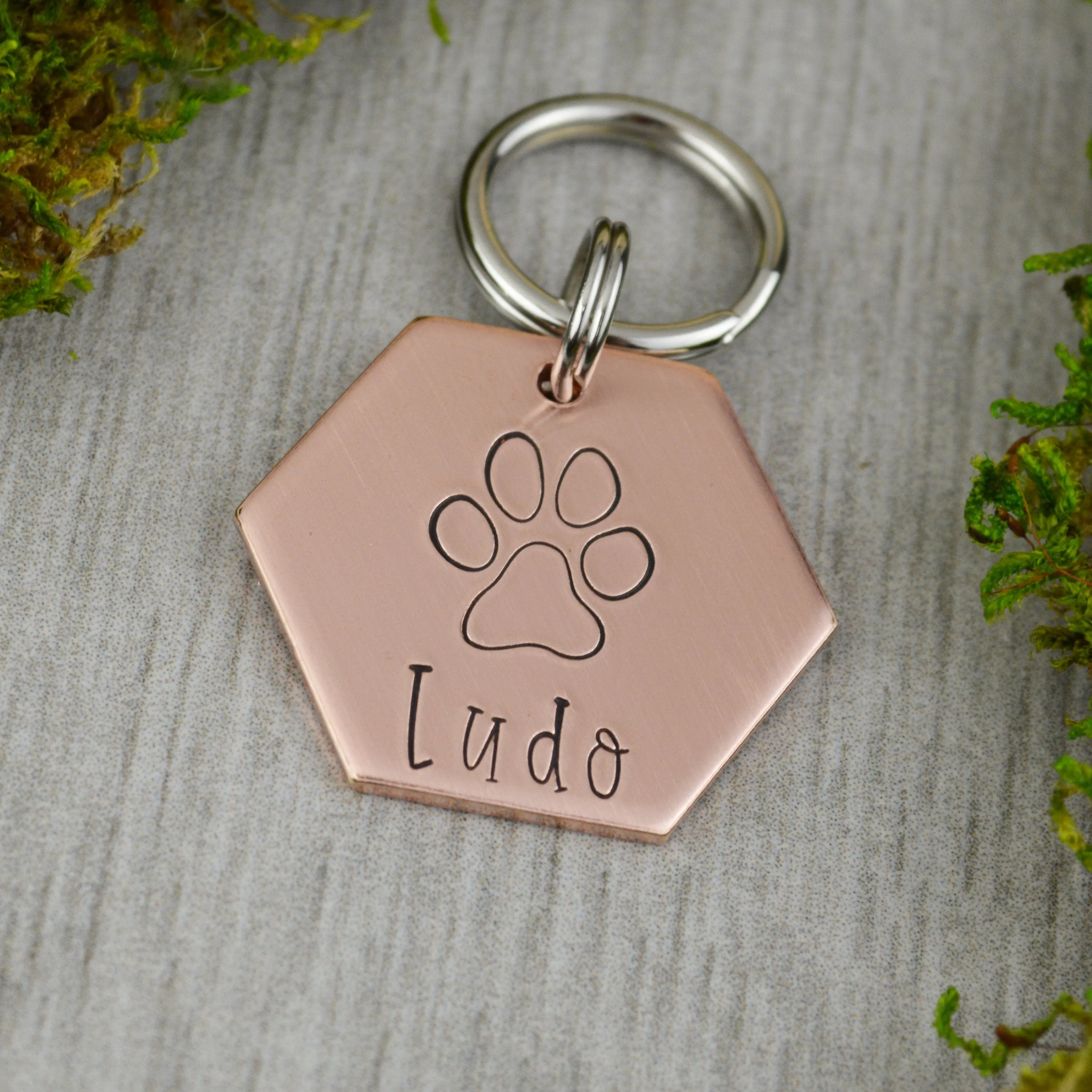 Big Paw Pet ID Tag