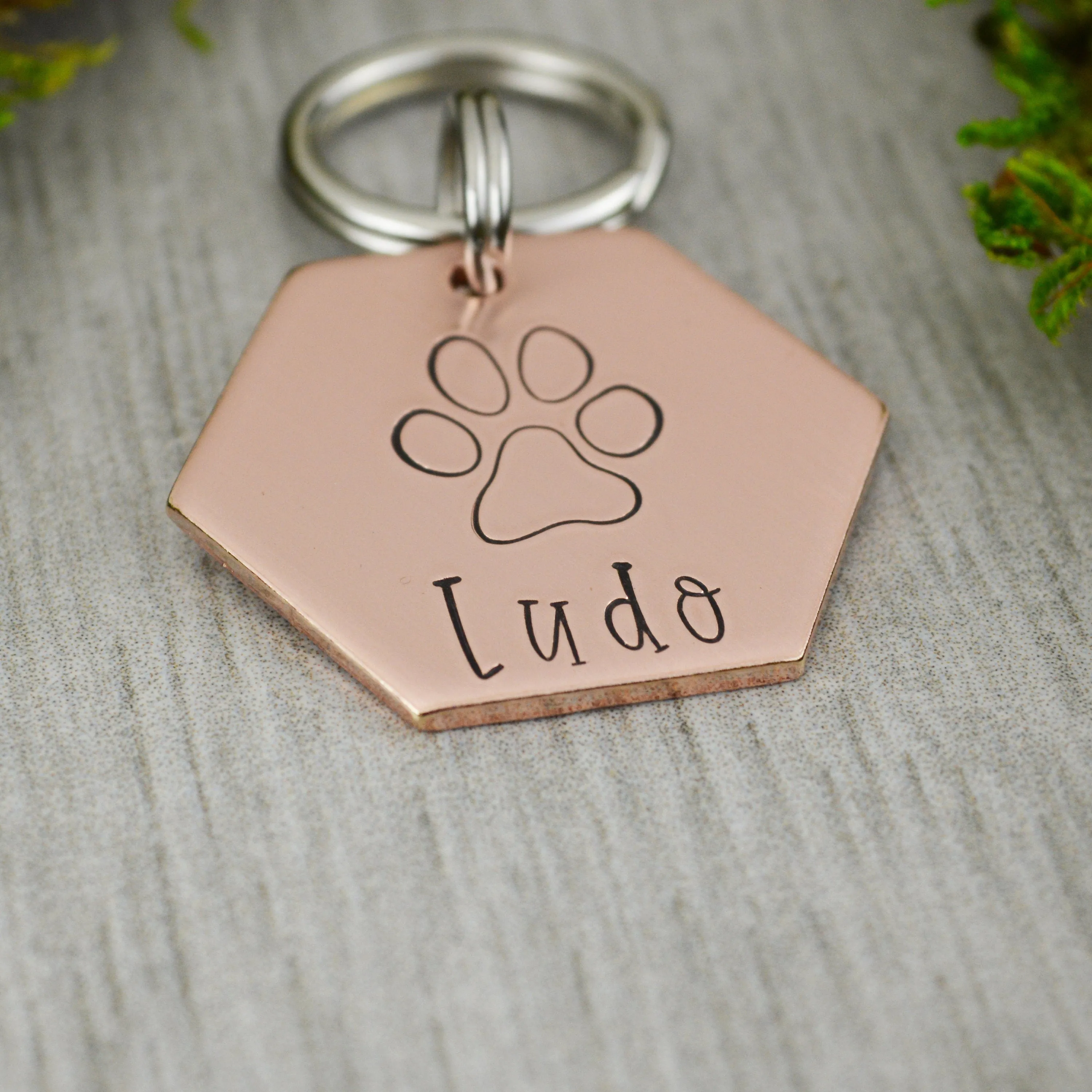 Big Paw Pet ID Tag