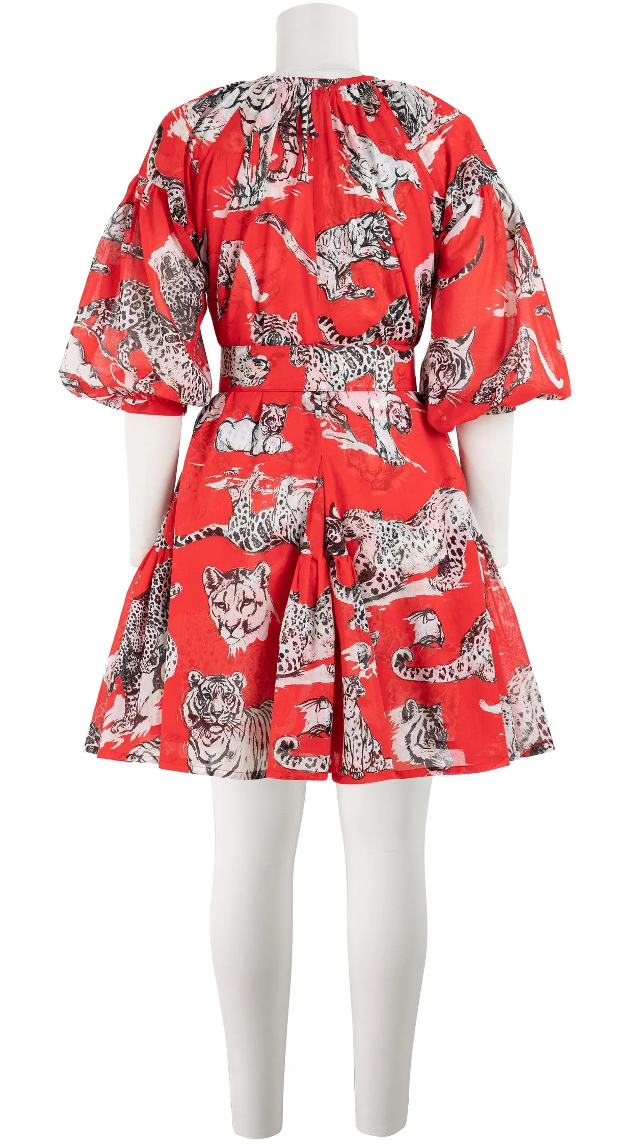 Birdy Dress Crew Neck 3/4 Sleeve with Hamilton Belt Mini Length Cotton Musola (Tiger Toile Bright)