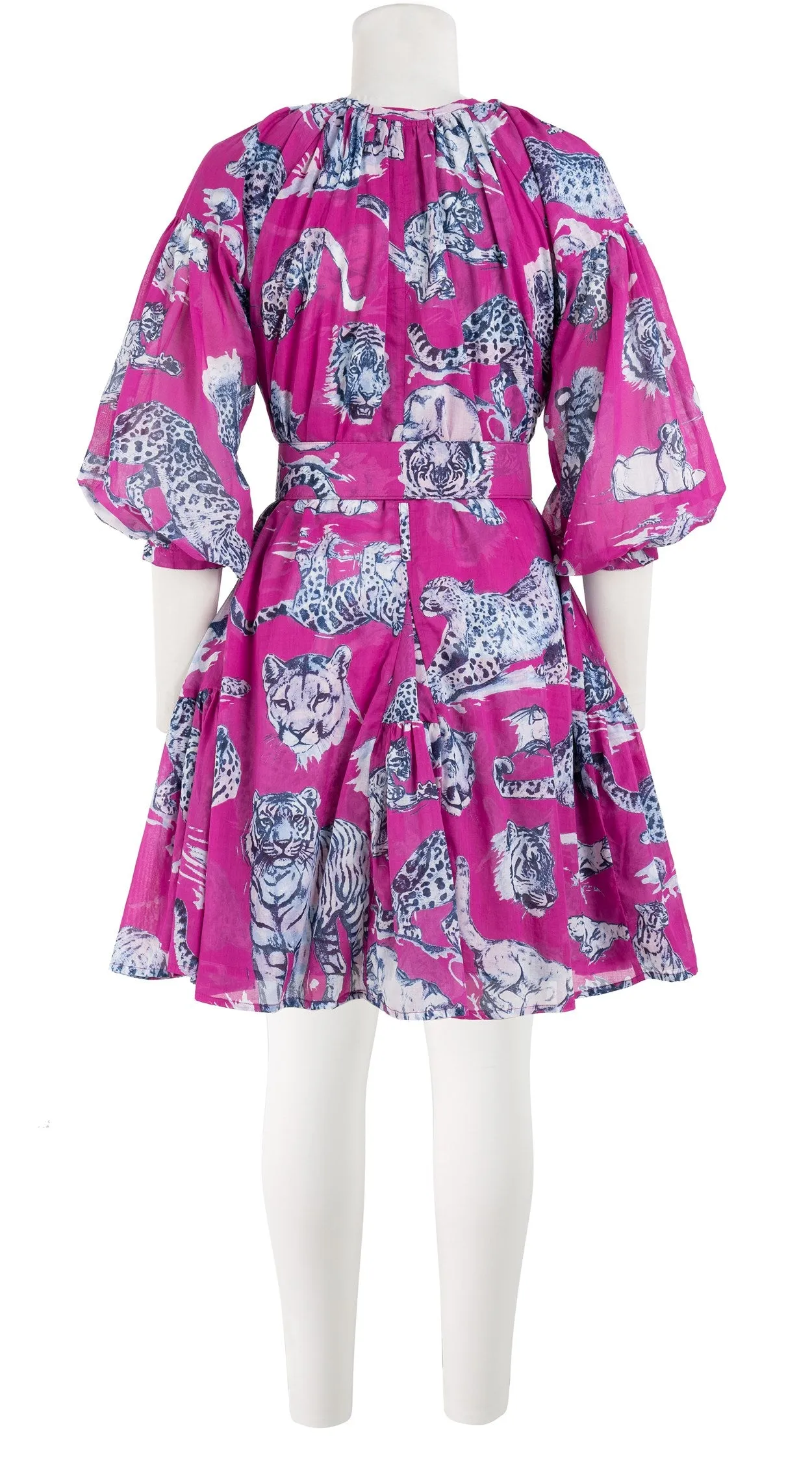 Birdy Dress Crew Neck 3/4 Sleeve with Hamilton Belt Mini Length Cotton Musola (Tiger Toile Bright)