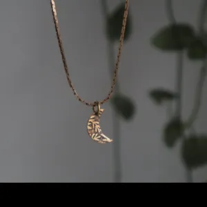 Crescent Moon Necklace