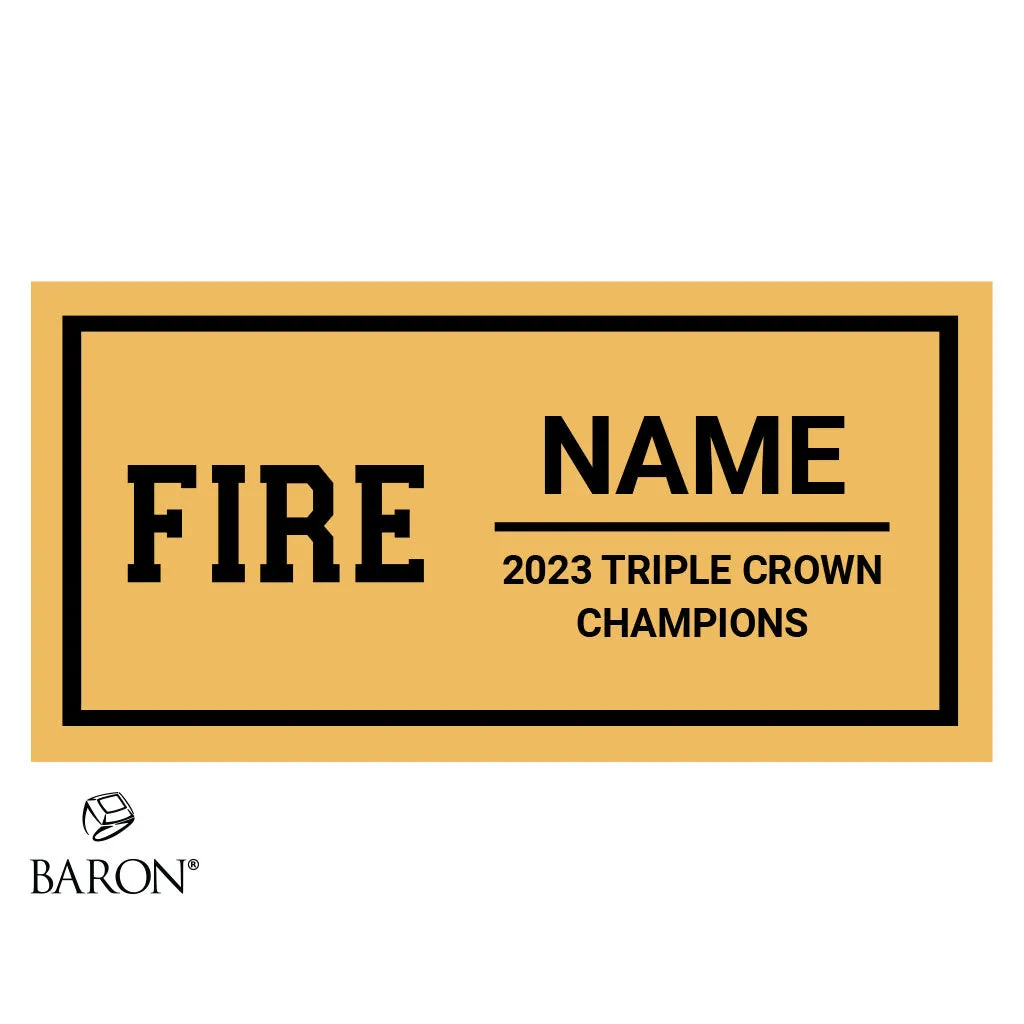 Fire Cheer CF 2023 Championship Black Standard Window Ring Box