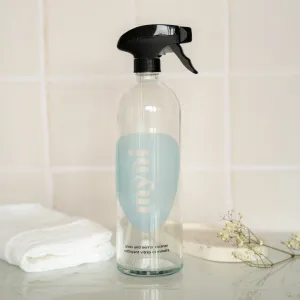 Glass & mirror cleaner bottle in glass