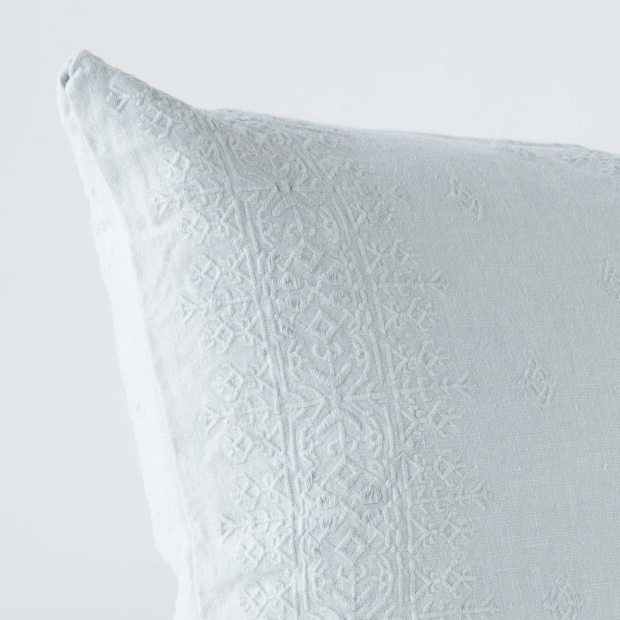 Ines Accent Throw Pillow