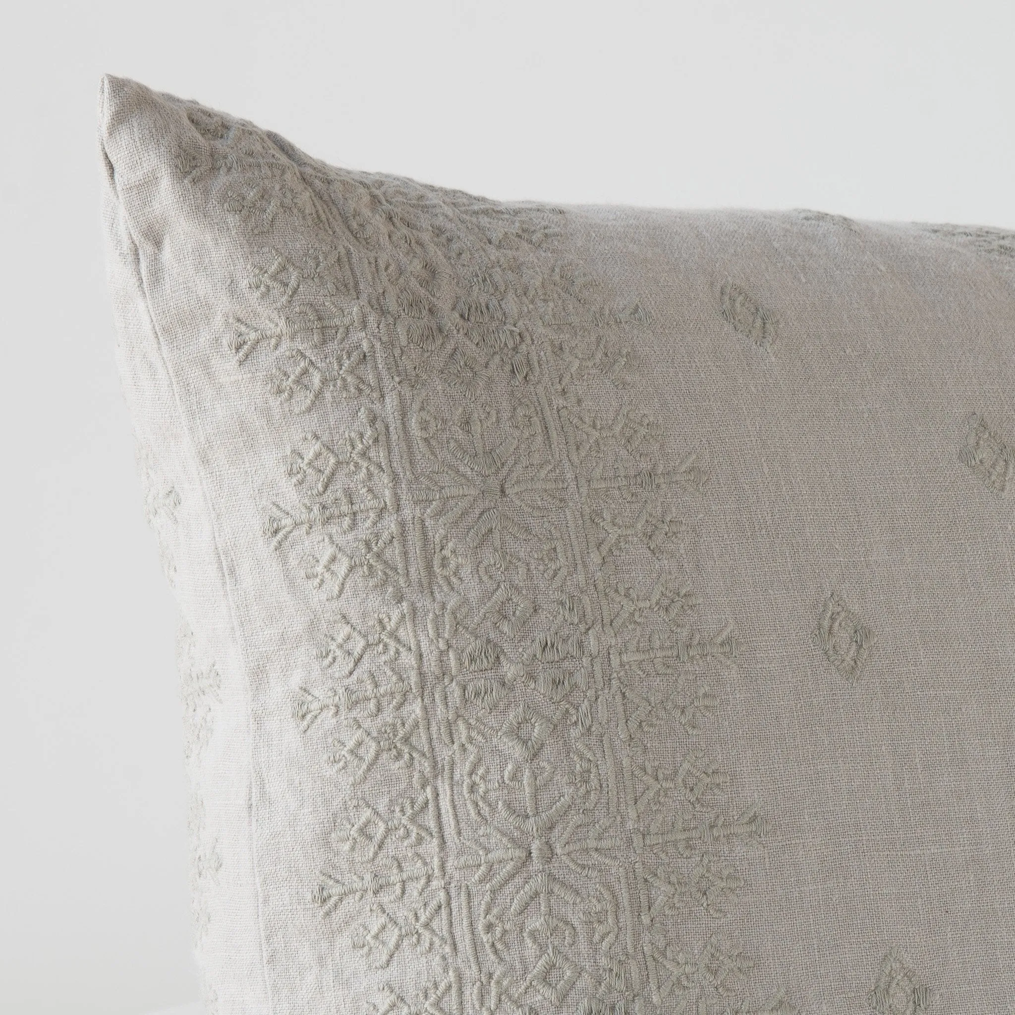Ines Accent Throw Pillow