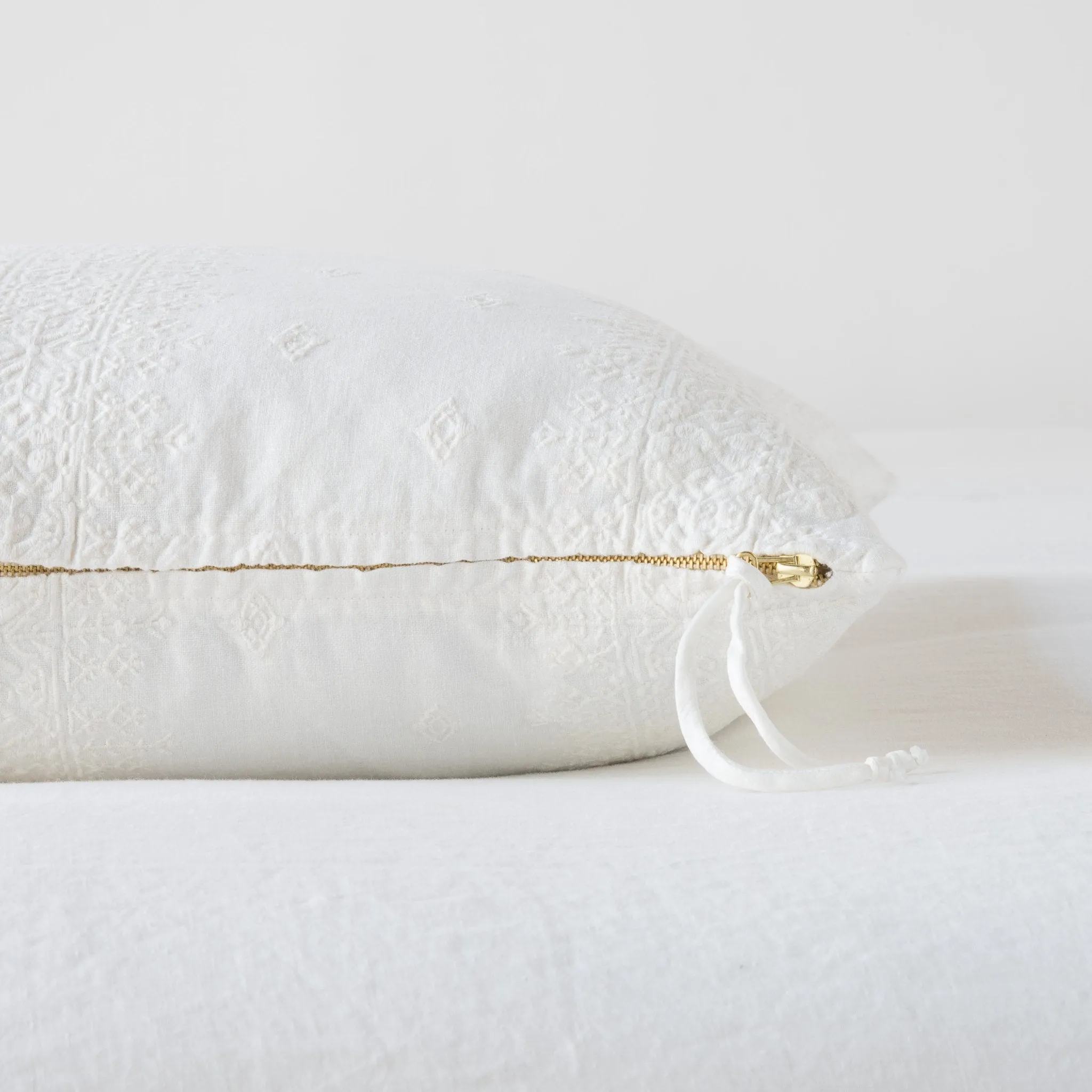 Ines Accent Throw Pillow