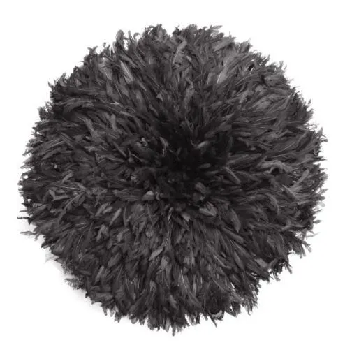 Juju Hat Feather Wall Art