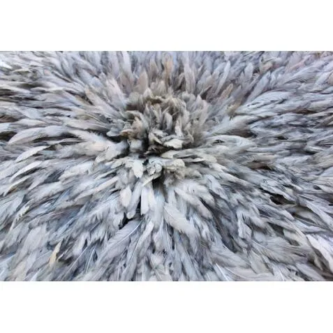 Juju Hat Feather Wall Art