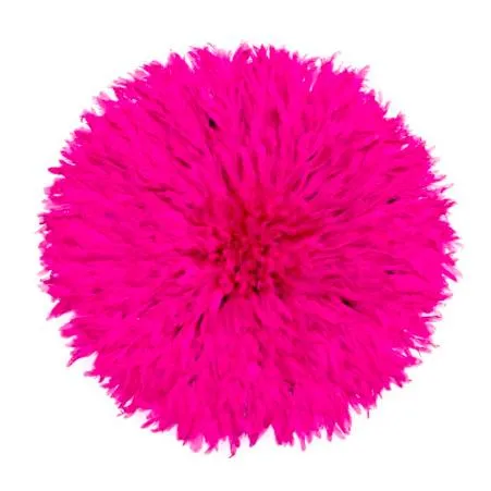 Juju Hat Feather Wall Art