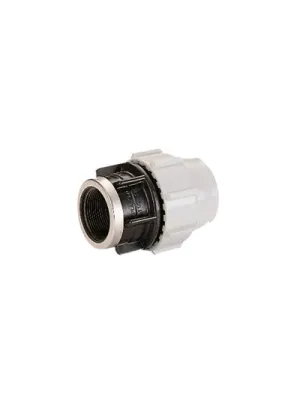 Plasson Adaptor Female BSP 50mm x 2" 7030 (PL070300050020)