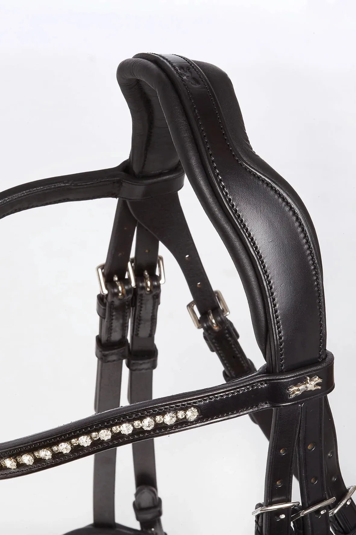 Schockemohle Brantford Black Patent with Silver Bridle