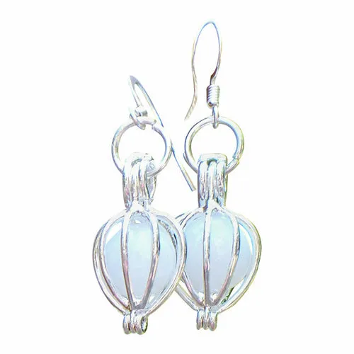 Silver Drop Earrings