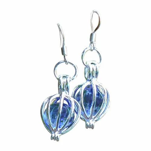 Silver Drop Earrings
