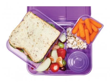 Sistema Bento Lunch Trend 1.65 Litre 41690