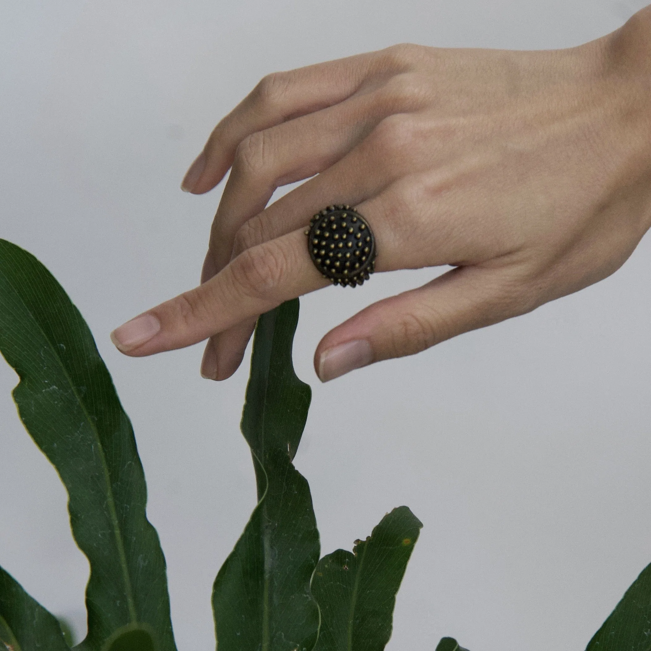 The Delos Ring