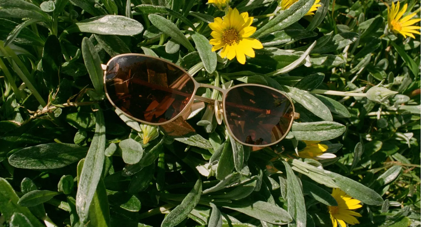 The Perma Joy Sunglasses