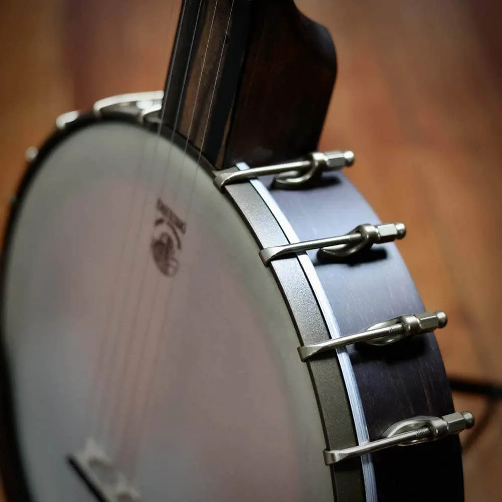 Vega Vintage Star Banjo