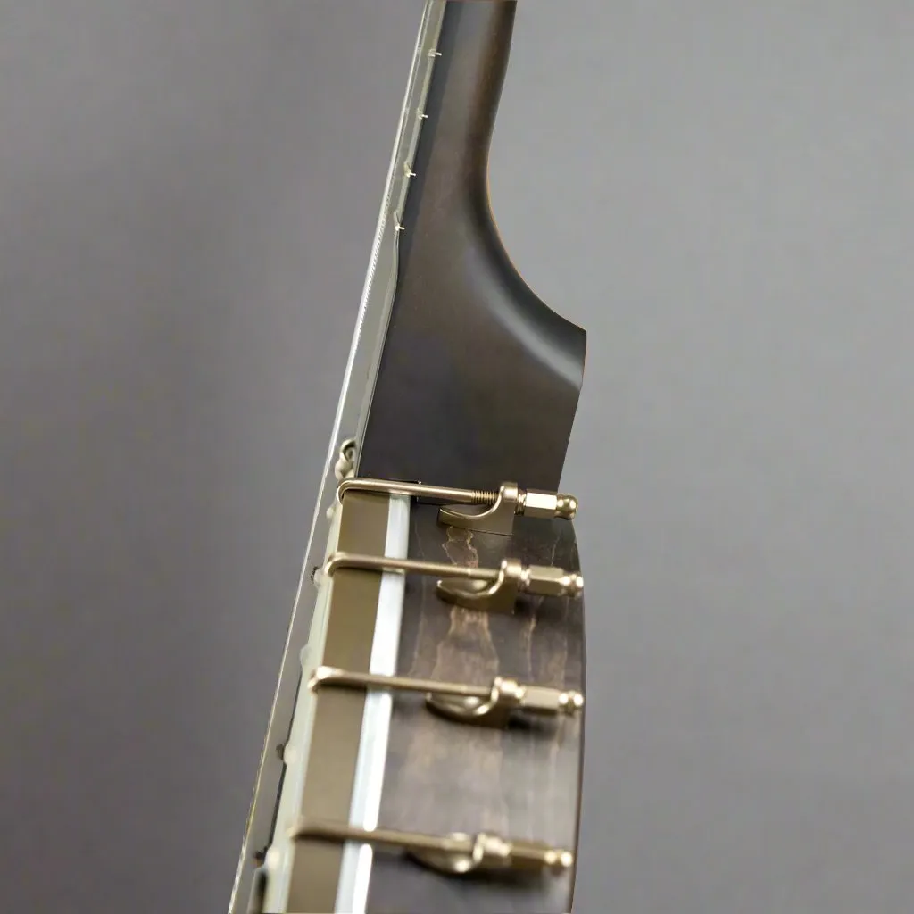 Vega Vintage Star Banjo