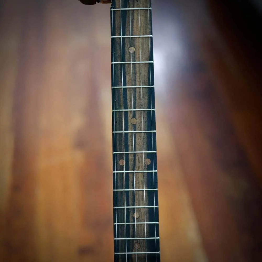 Vega Vintage Star Banjo