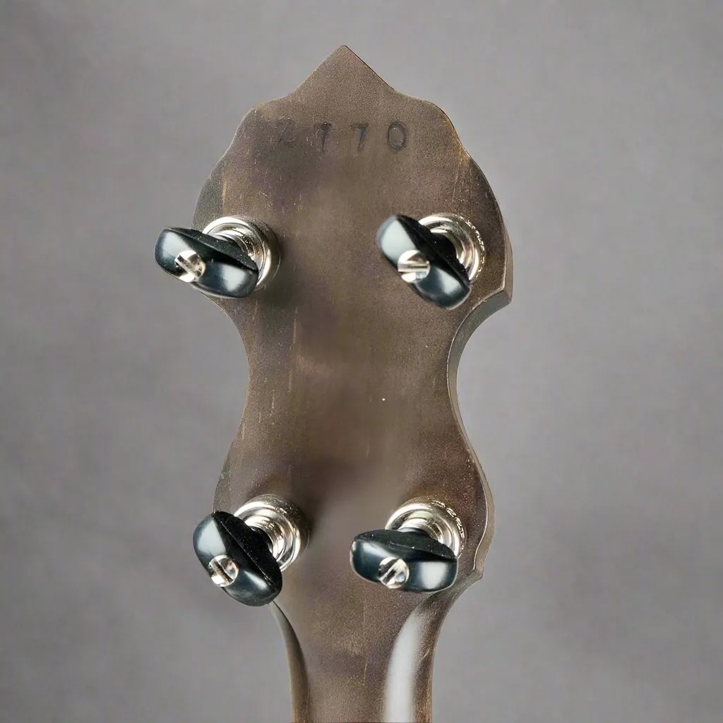 Vega Vintage Star Banjo