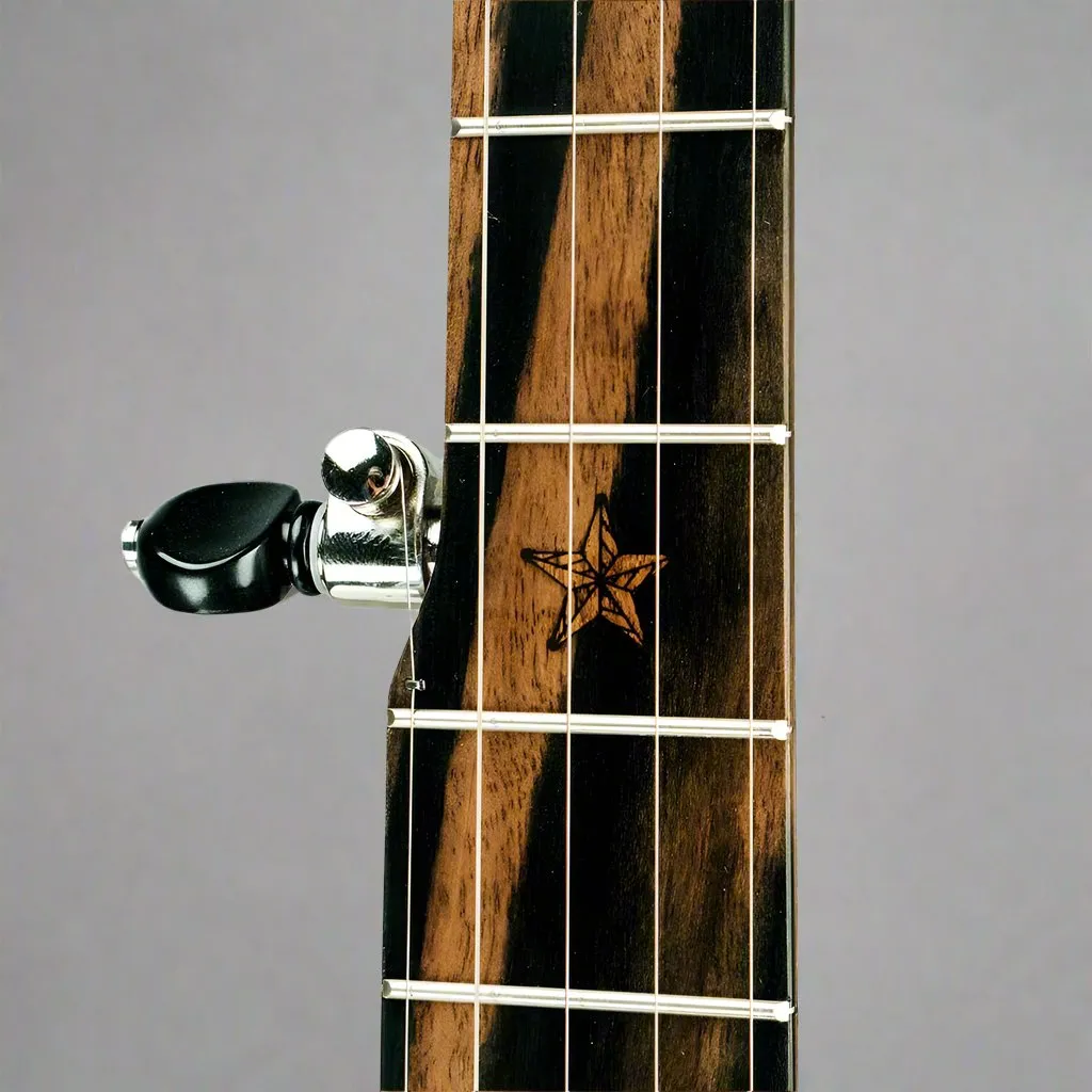 Vega Vintage Star Banjo