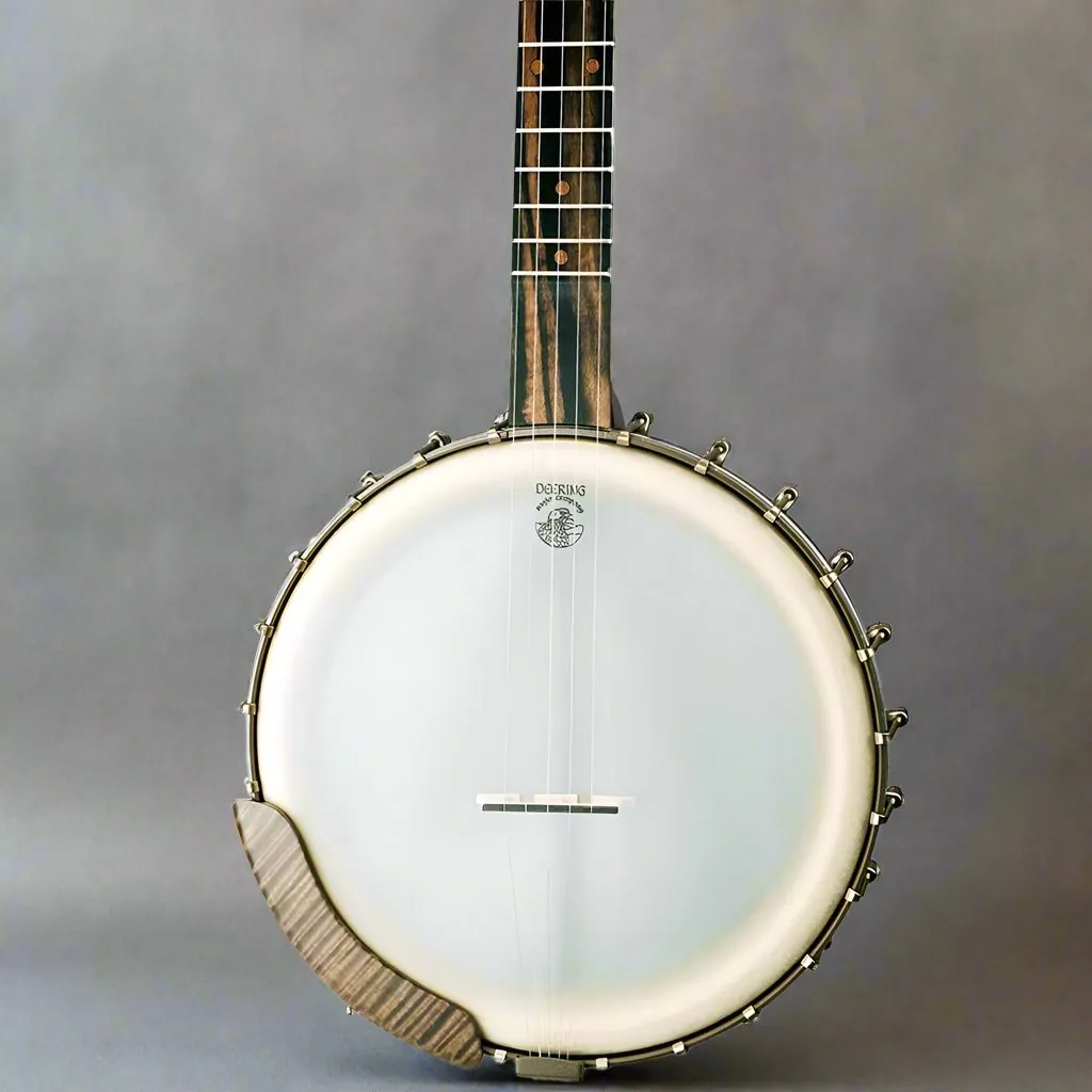 Vega Vintage Star Banjo