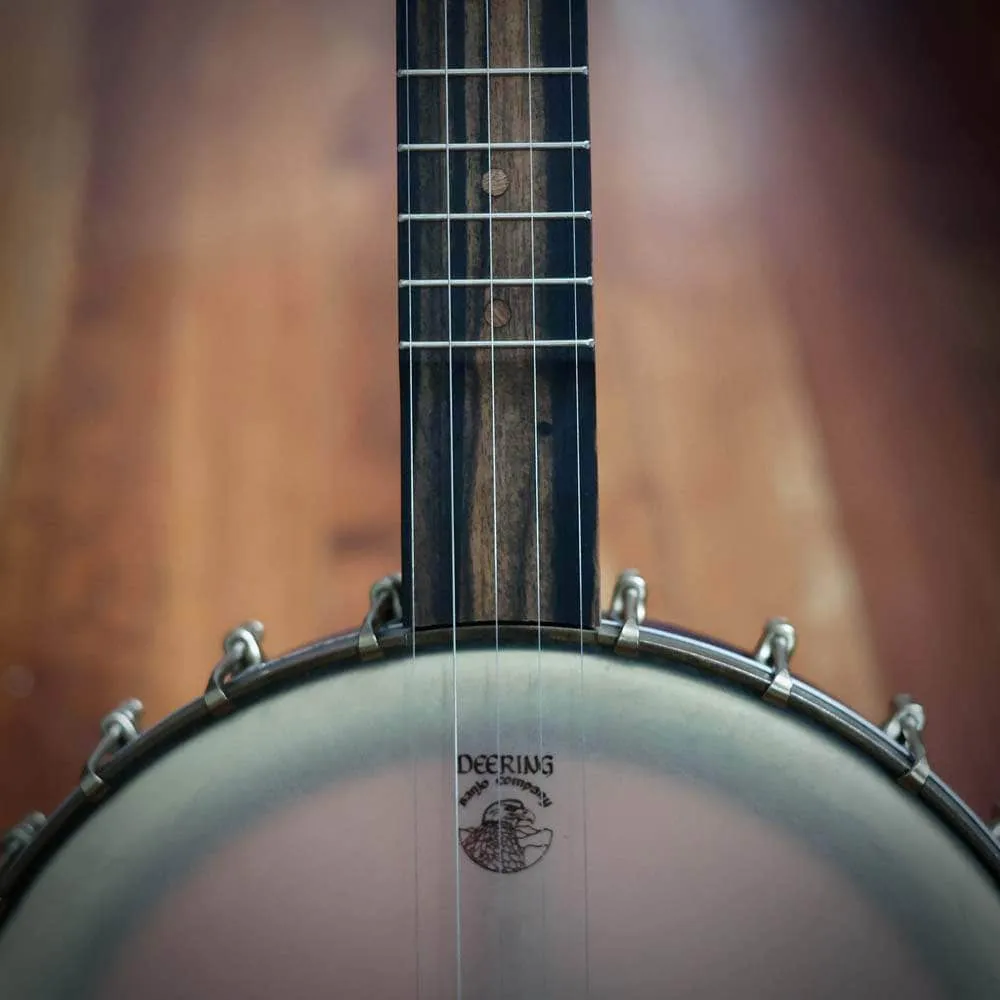 Vega Vintage Star Banjo