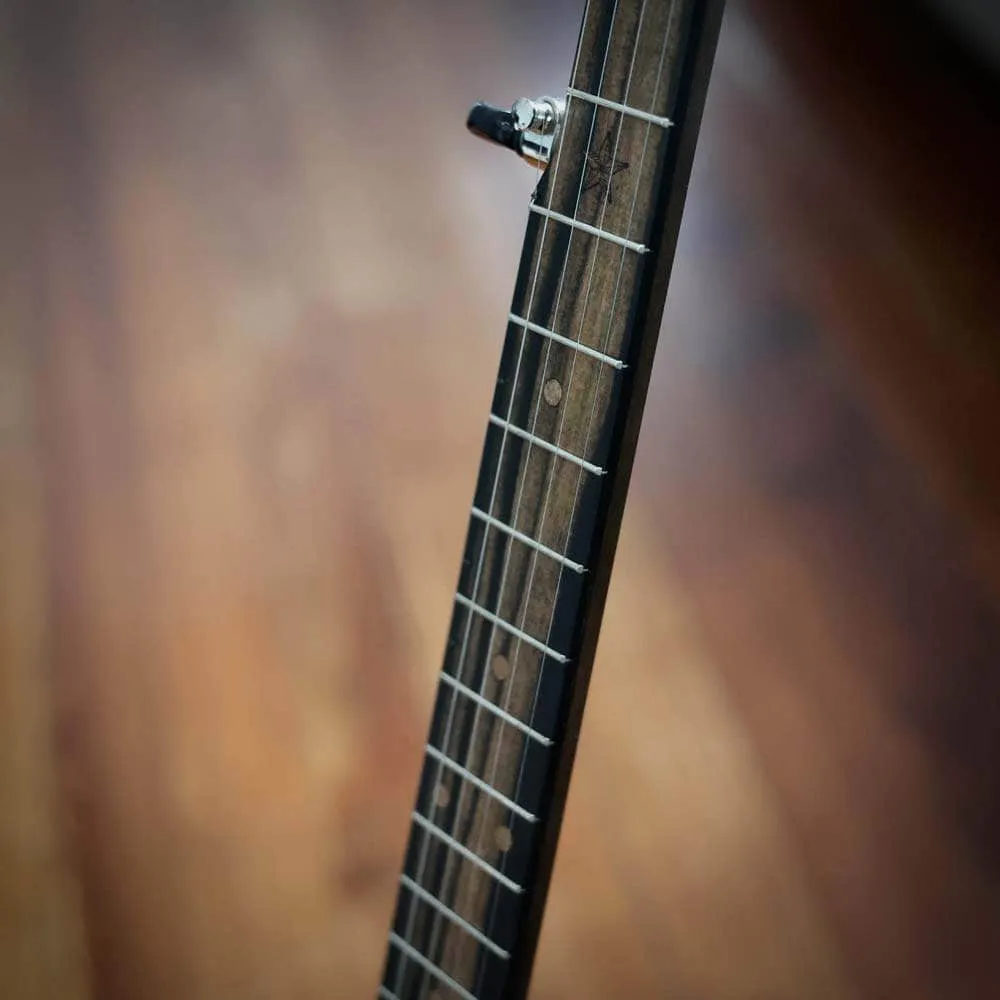 Vega Vintage Star Banjo