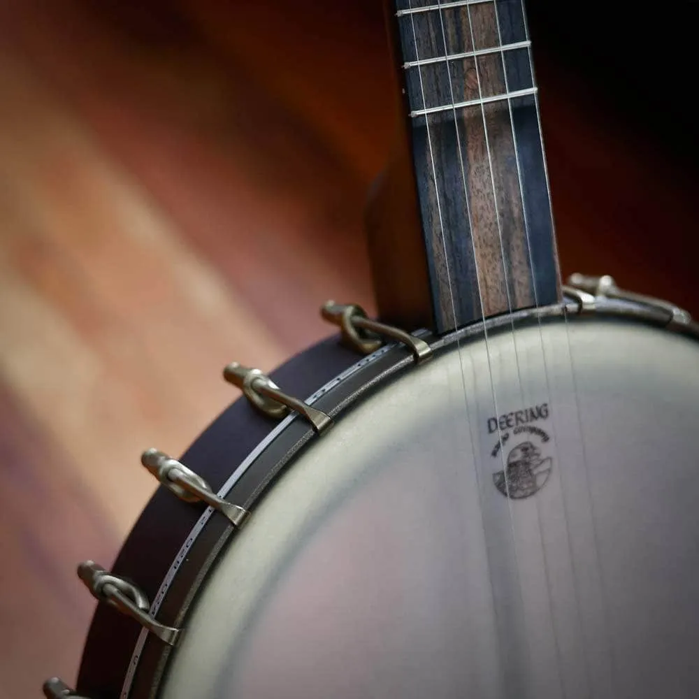 Vega Vintage Star Banjo