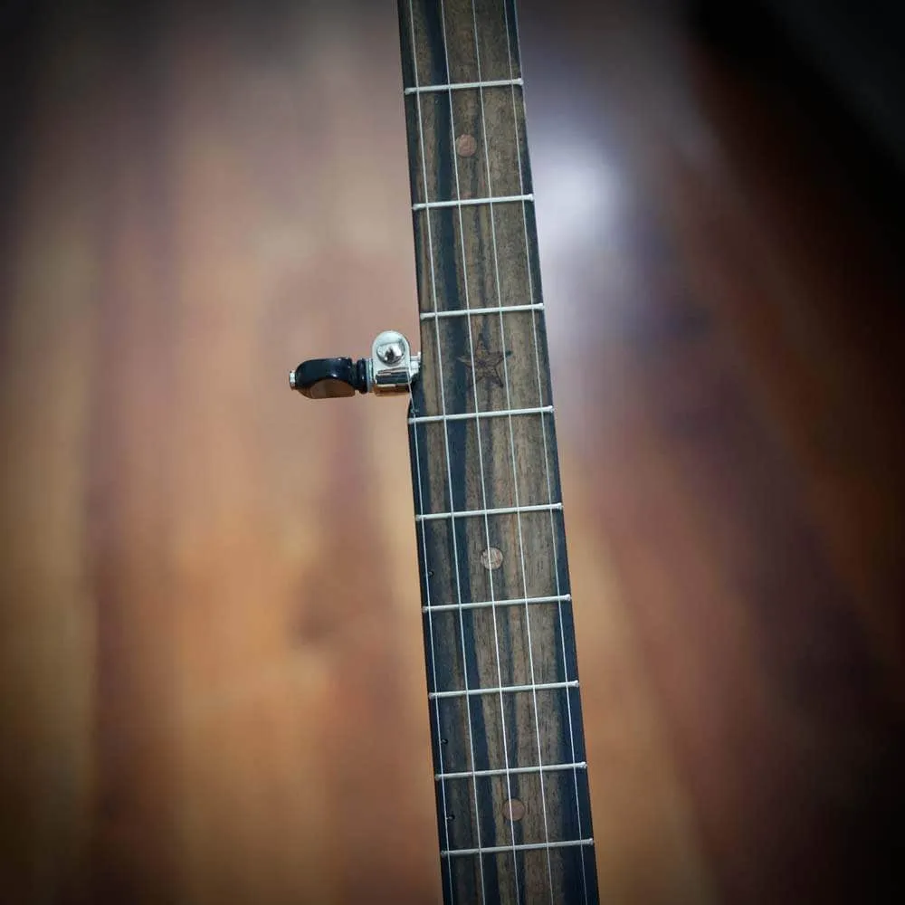 Vega Vintage Star Banjo