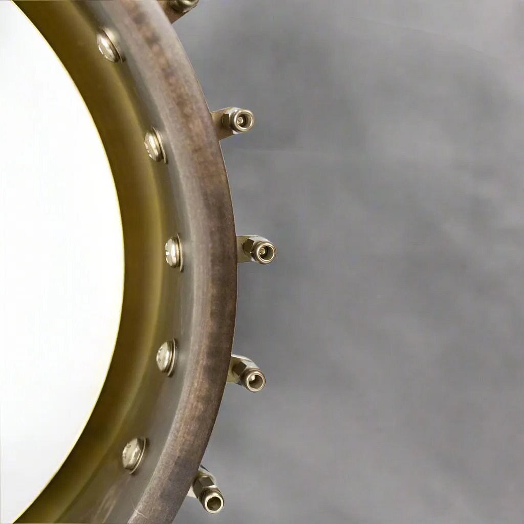 Vega Vintage Star Banjo