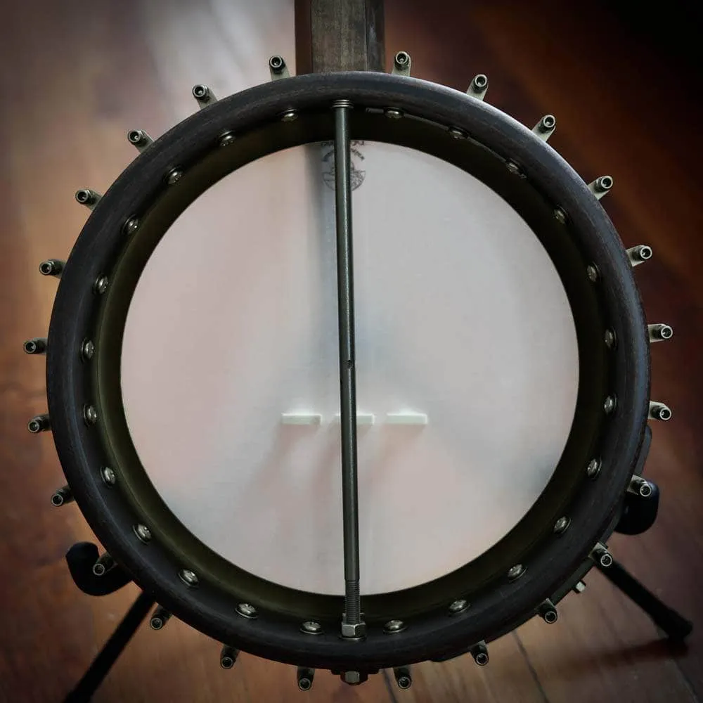 Vega Vintage Star Banjo