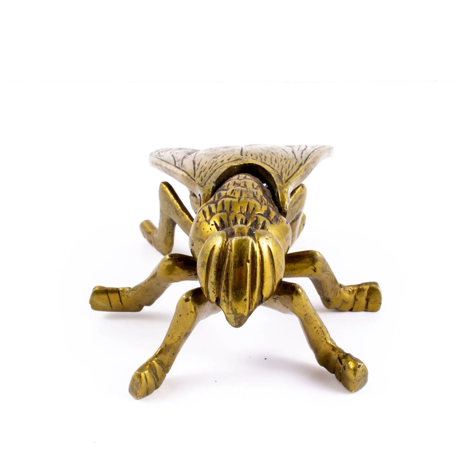 Vintage French Brass Insect Box