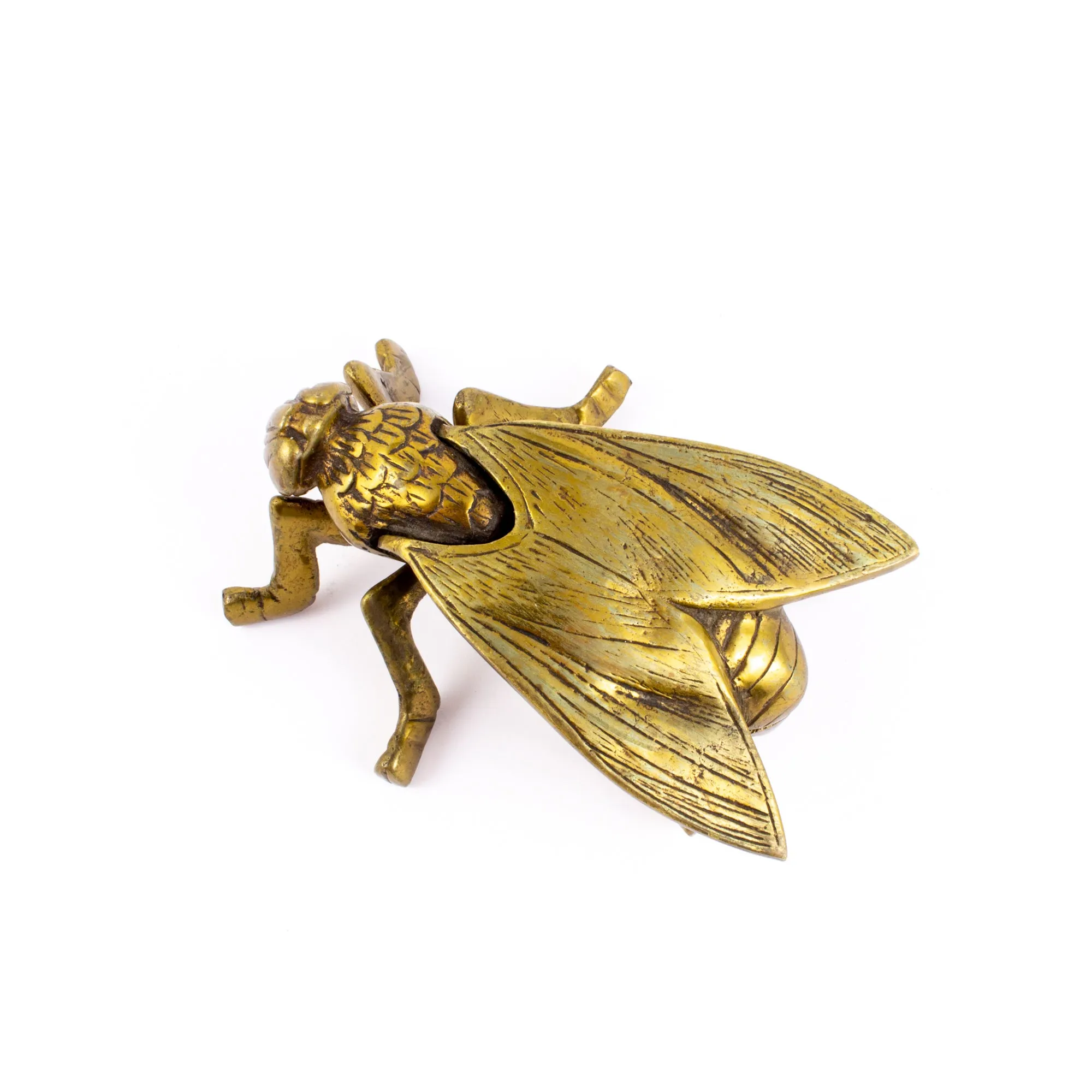 Vintage French Brass Insect Box