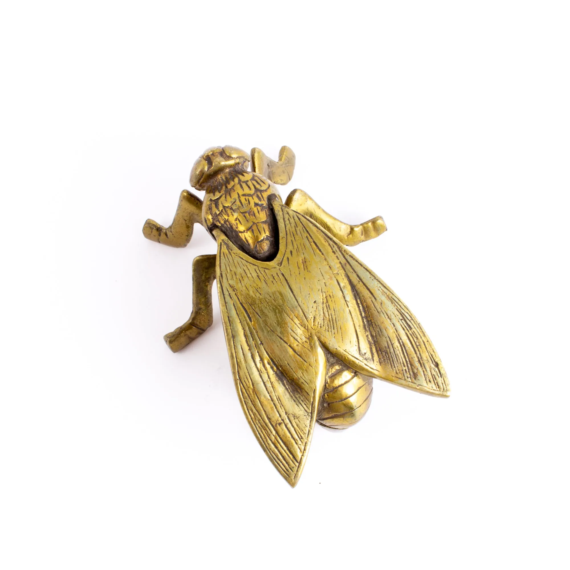 Vintage French Brass Insect Box