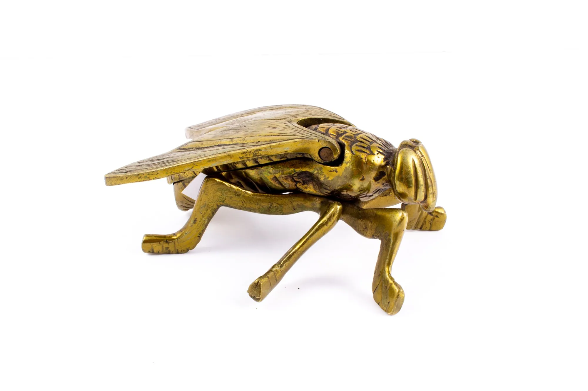 Vintage French Brass Insect Box