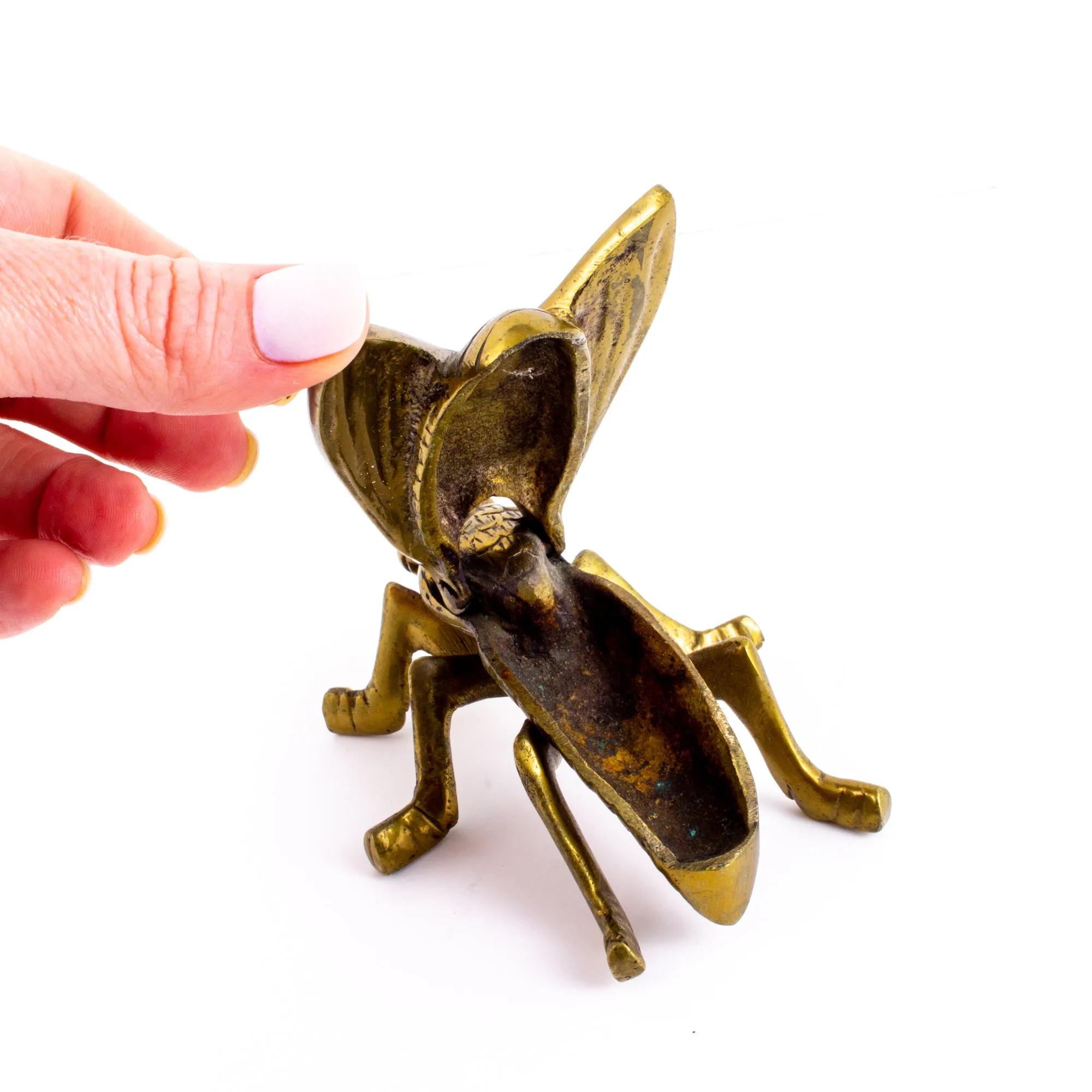 Vintage French Brass Insect Box