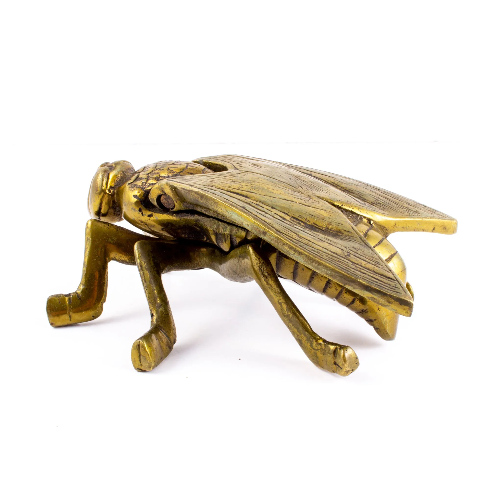 Vintage French Brass Insect Box