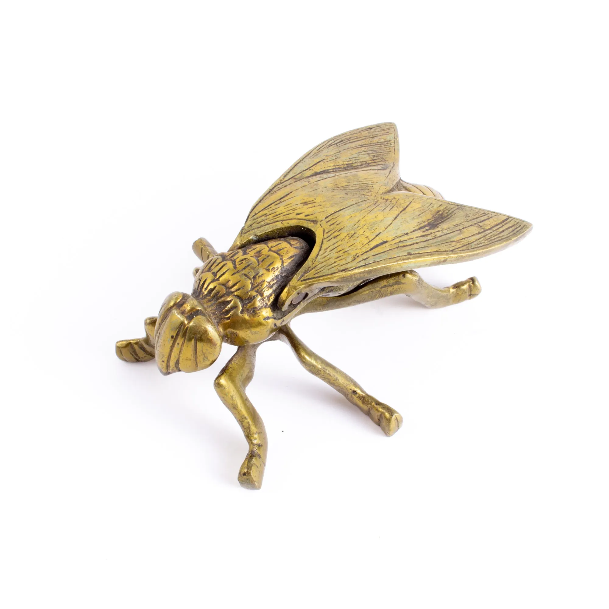 Vintage French Brass Insect Box
