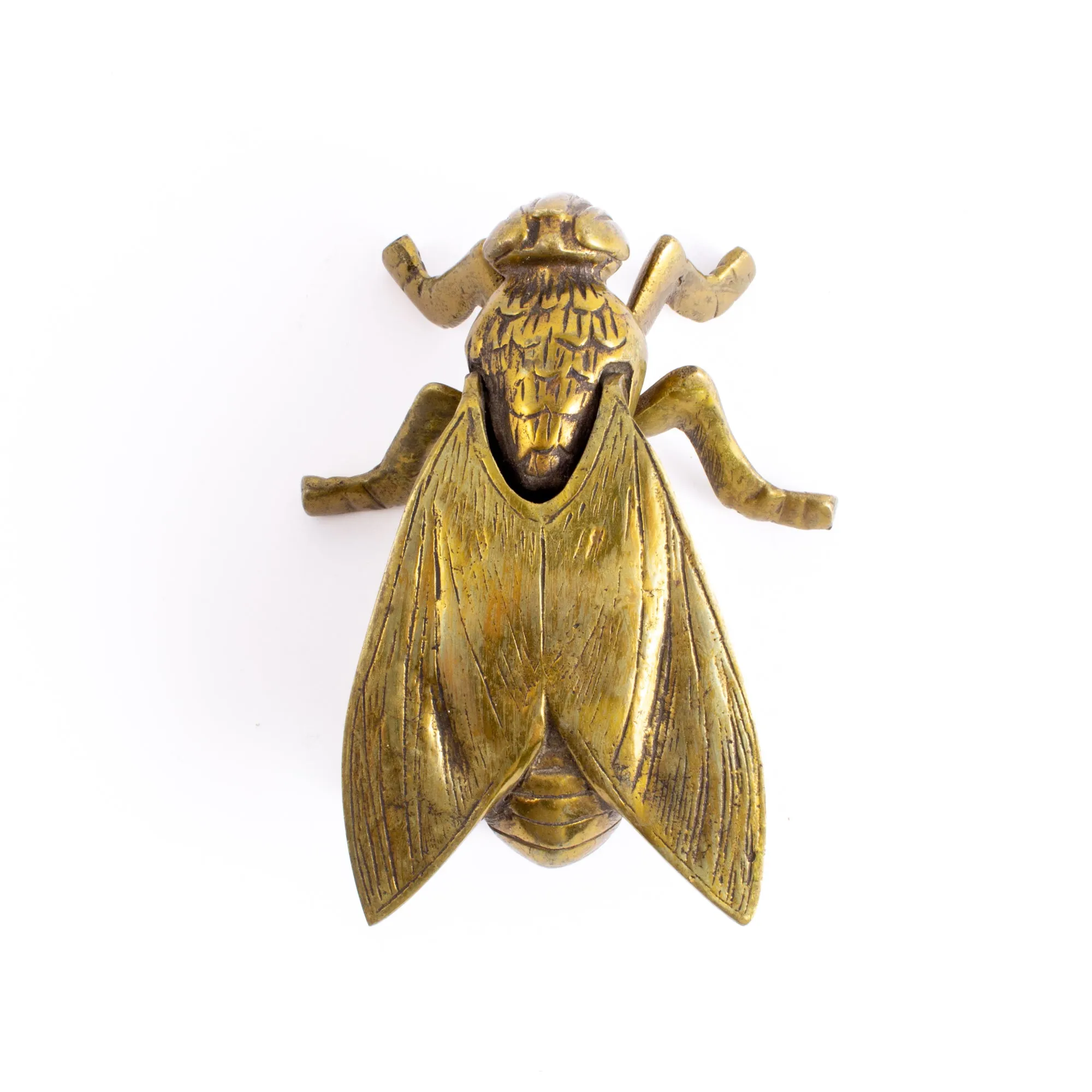 Vintage French Brass Insect Box