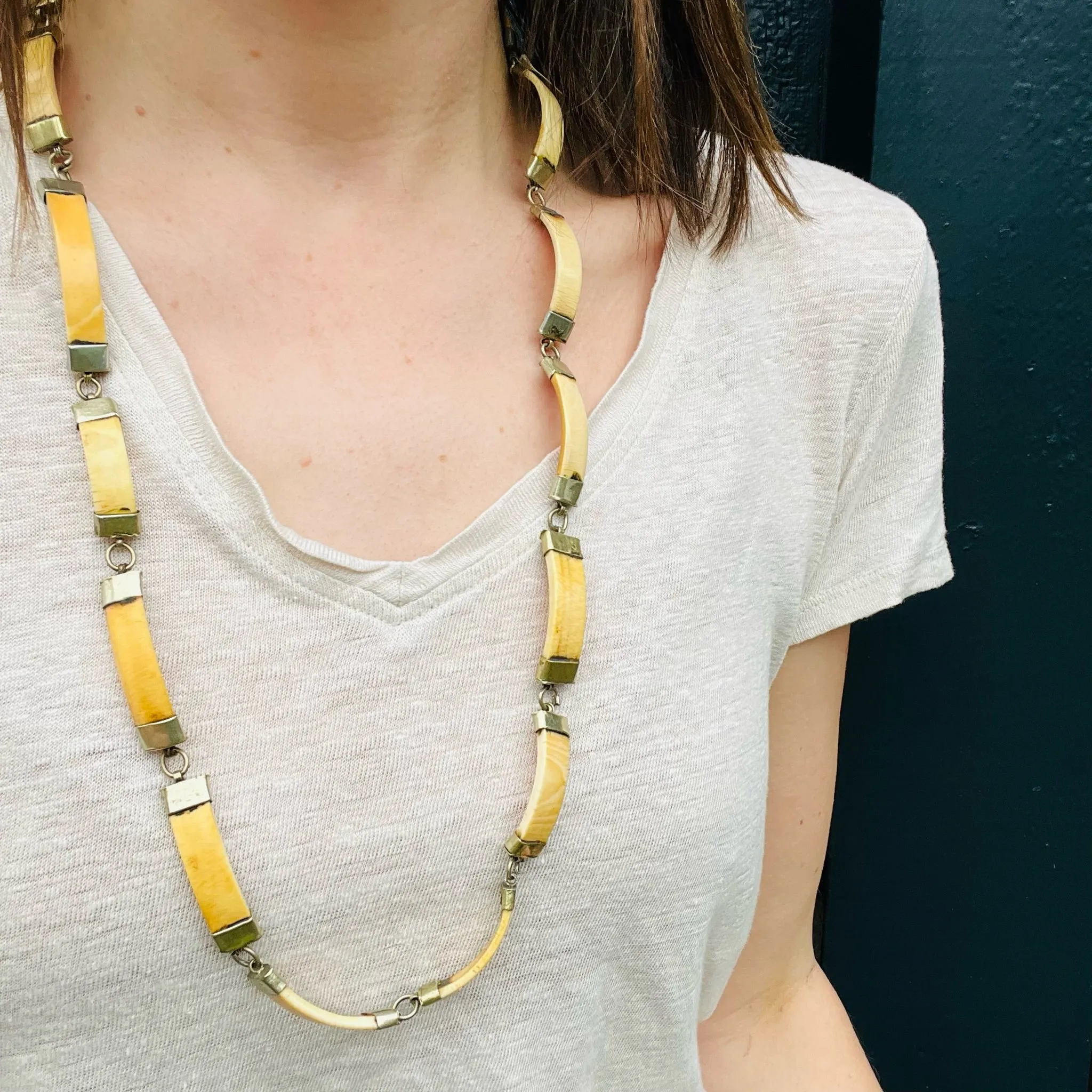 Wild Warthog Tusk & Brass Necklace